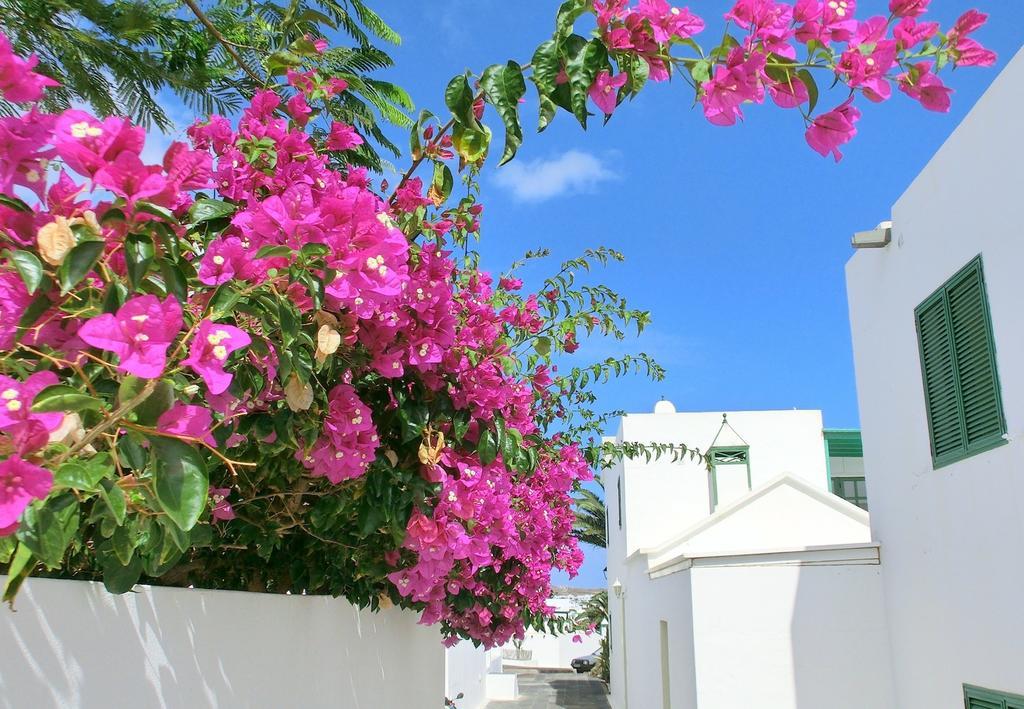 Villas Puerto Rubicon Playa Blanca  Exterior photo